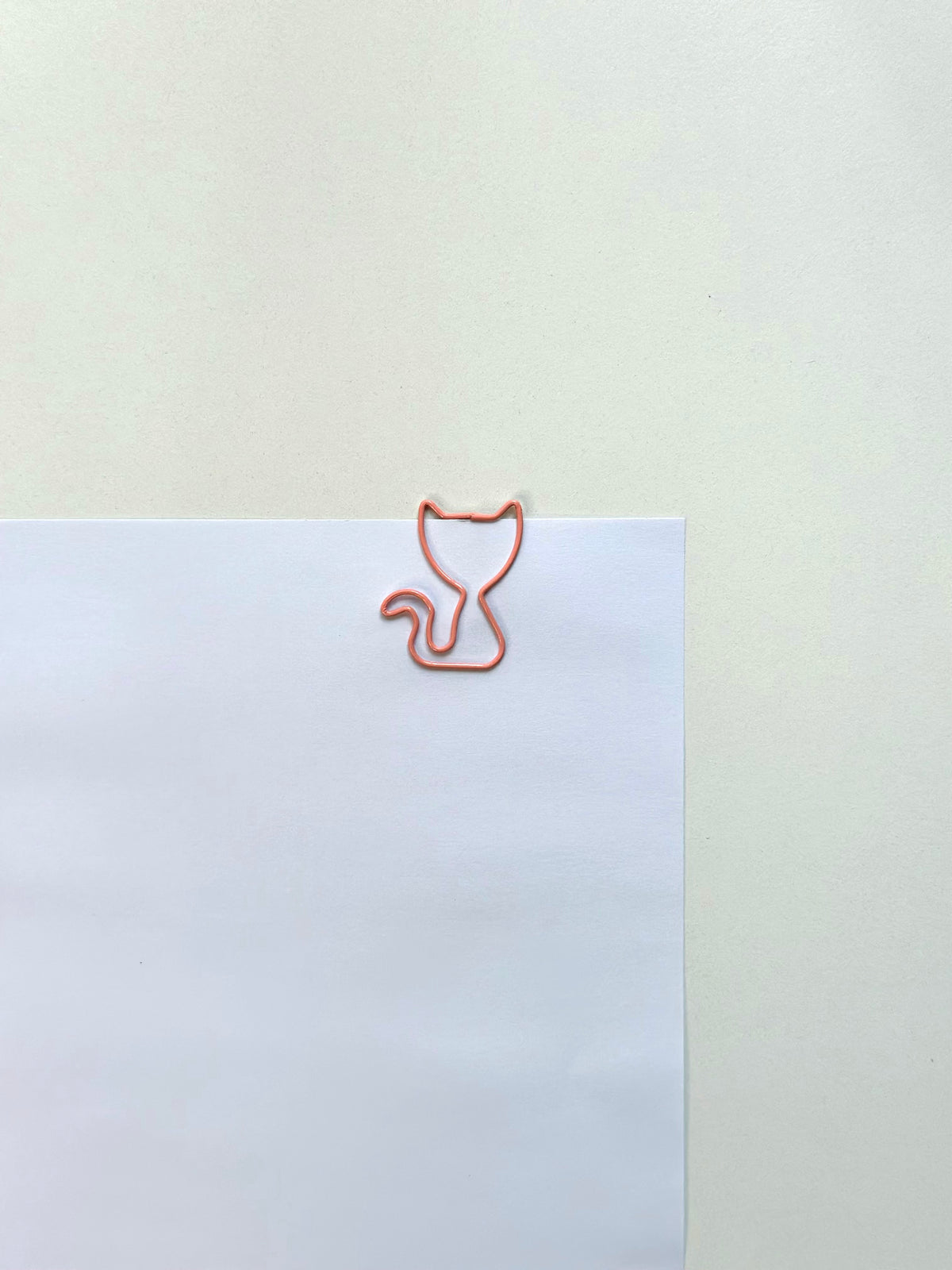 Clip ins/ Paper holder