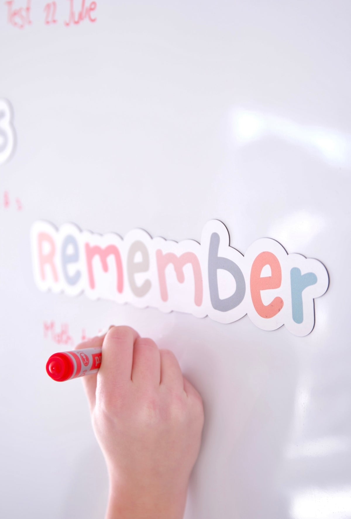 Soft Pastel Reminder Magnets