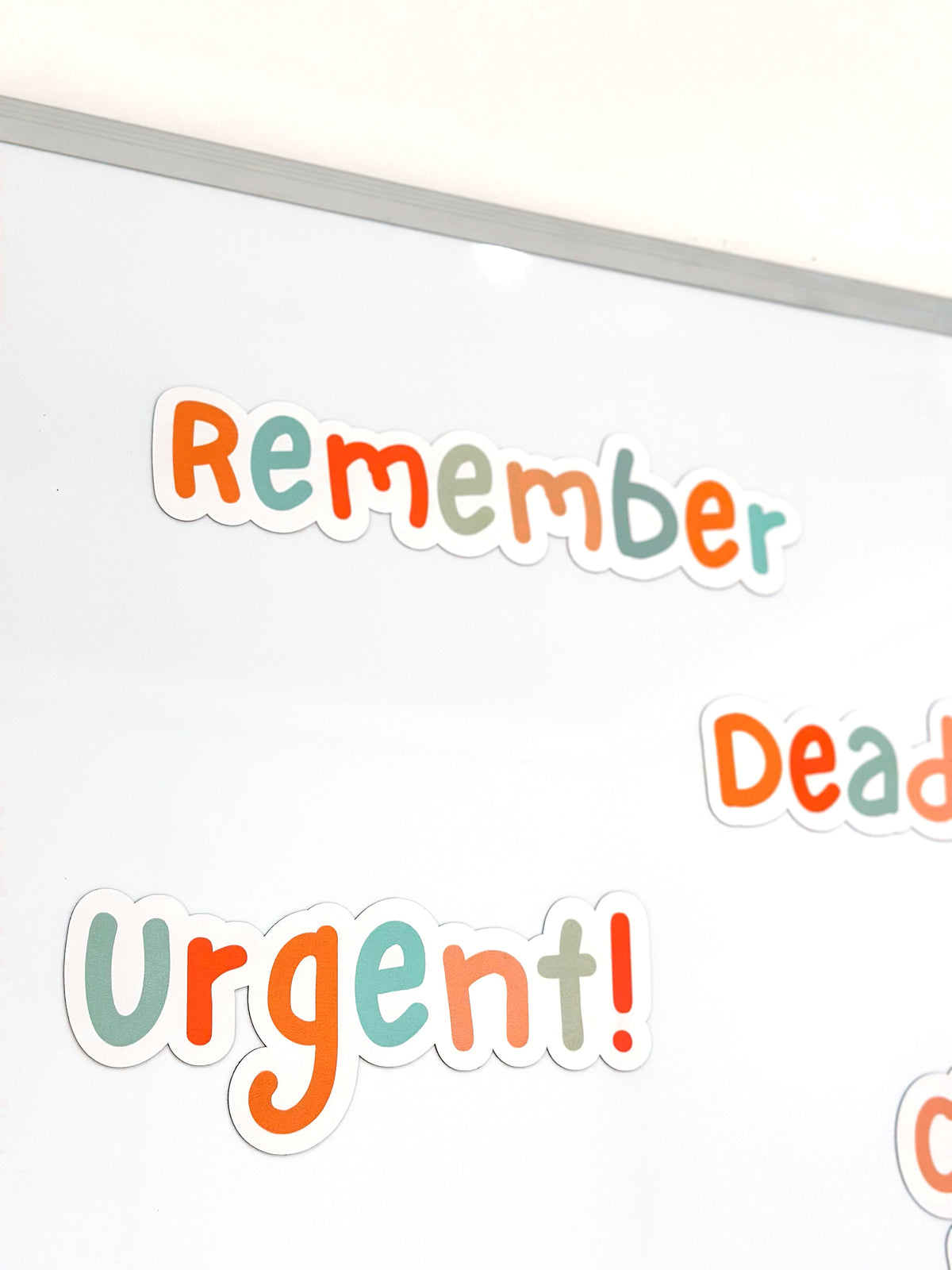 Soft Pastel Reminder Magnets
