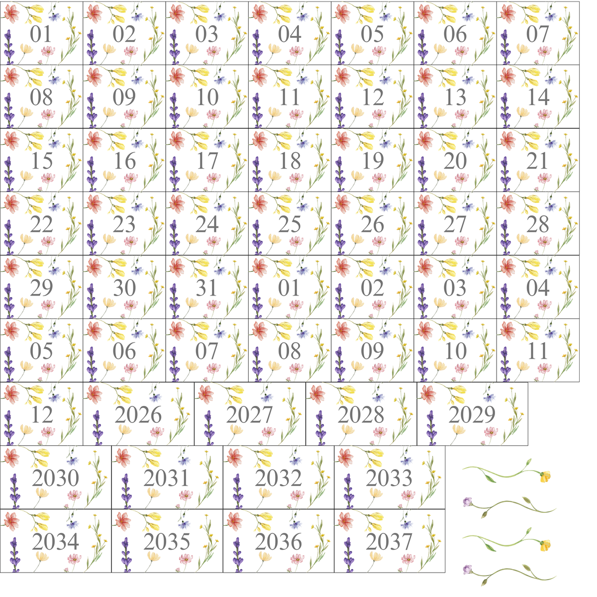 Wild Flower Math Calendar Set