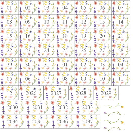 Wild Flower Math Calendar Set