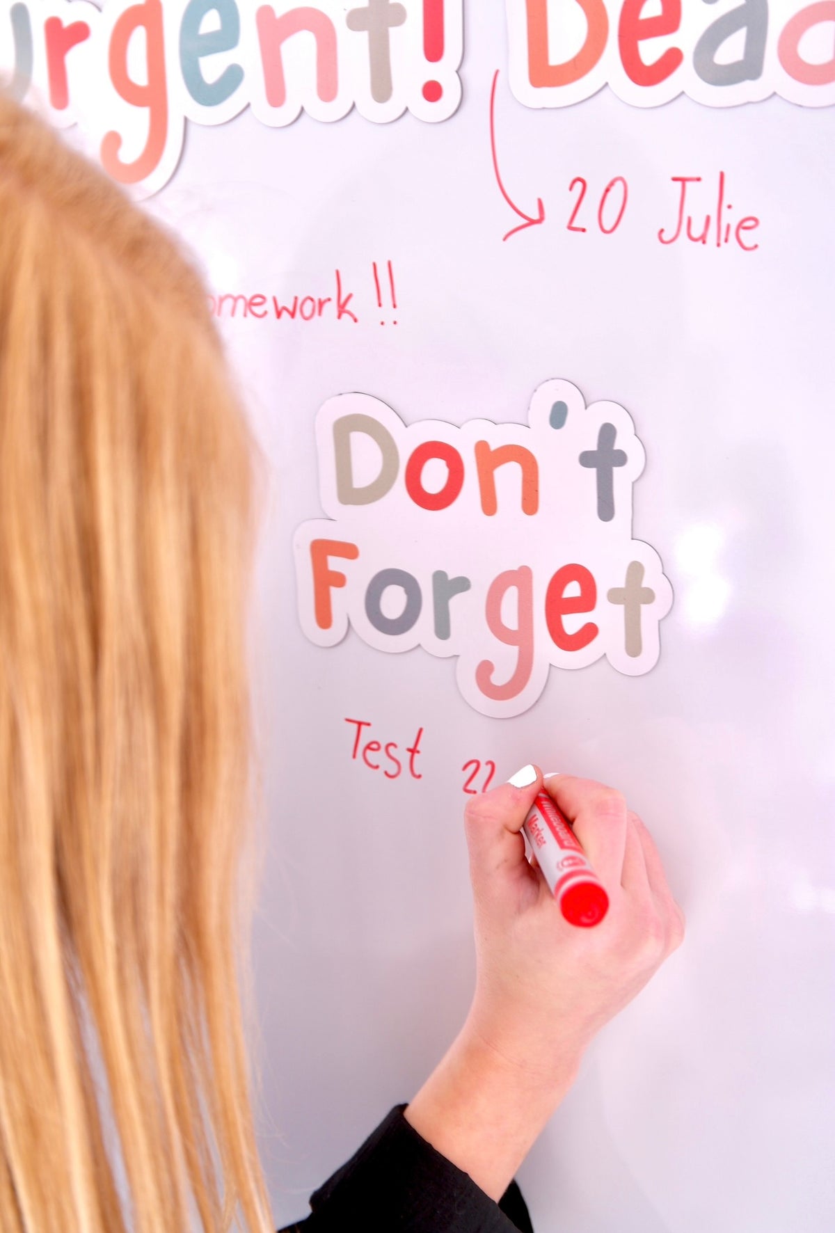 Soft Pastel Reminder Magnets