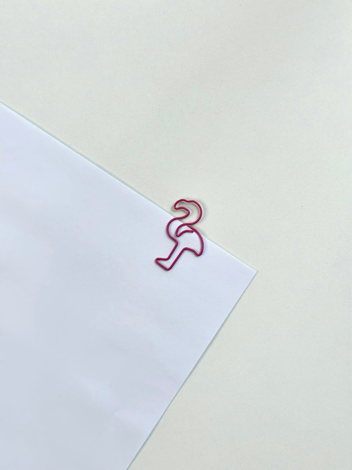 Clip ins/ Paper holder